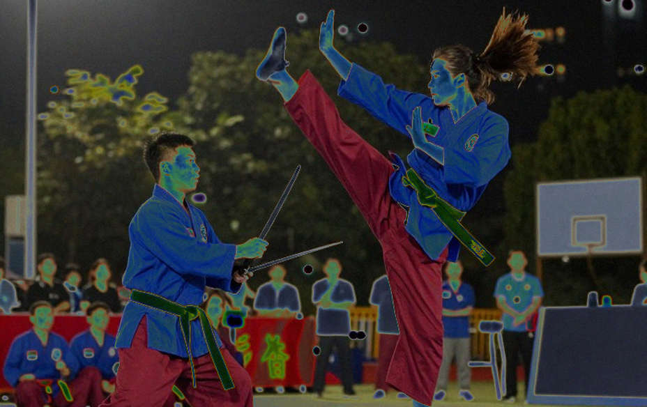 Dương Thúy Vi, 0,133 điểm và bài toán kế thừa của wushu Việt Nam Dương Thúy Vi, 0,133 điểm và bài toán kế thừa của wushu Việt Nam